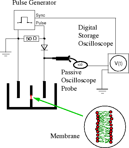 \begin{figure}\centering\epsfig{figure=bilder/aufbau2,width=10cm,clip=} \end{figure}