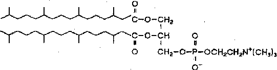 \begin{figure}\centering\epsfig{figure=bilder/dphpc,width=\linewidth} \end{figure}